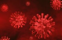 red-virus-depth-of-field-background-copy-space-text-overlay-corona-coronavirus-corona-virus-disease
