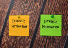 Extrinsic vs. Intrinsic Motivation: How to Use Them to Grow Your Employees