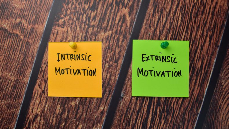 Extrinsic vs. Intrinsic Motivation: How to Use Them to Grow Your Employees