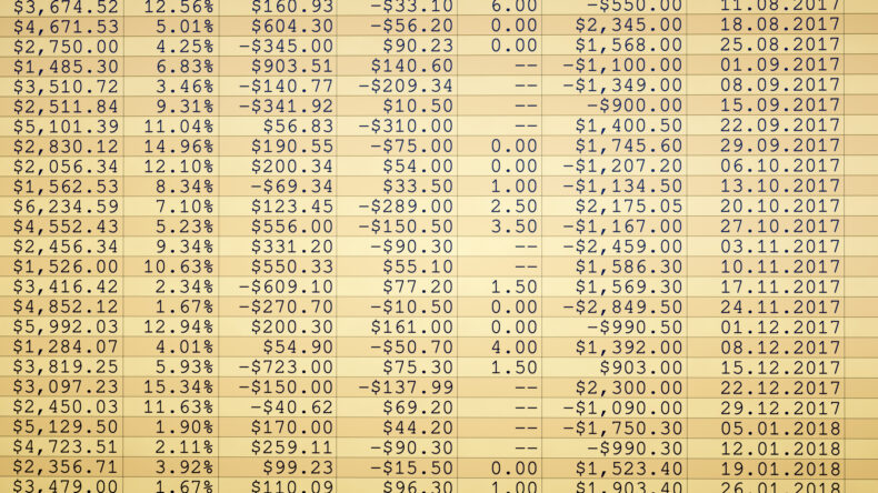view of a financial ledger